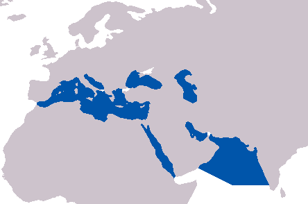 Figure 2. Seven Seas