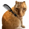 Thumbnail game - Brush Jjaemu